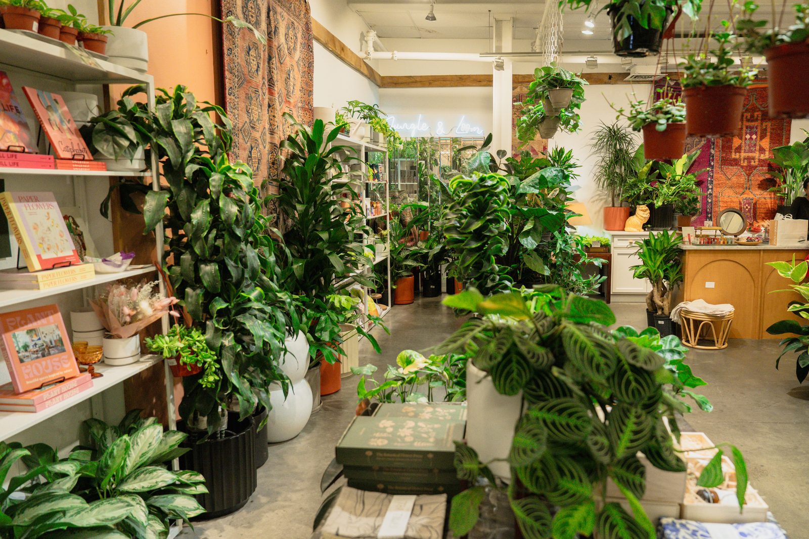 Brand session at Jungle & Loom plant shop